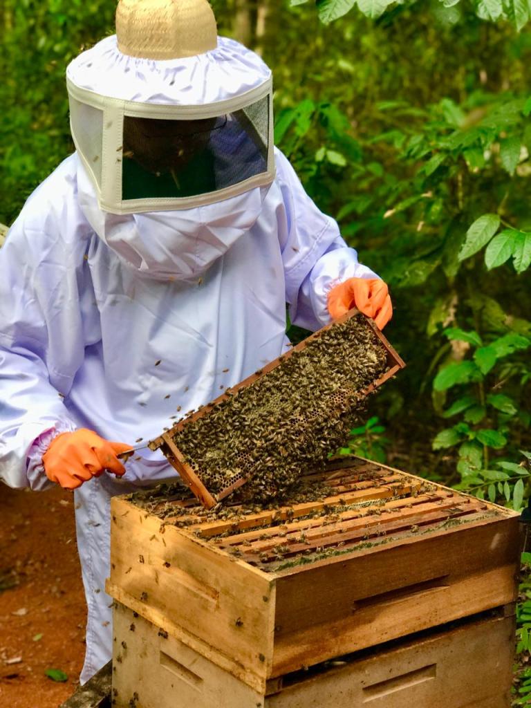 No momento, você está visualizando Cursos visam preparar produtores rurais de MS para exportação de itens agropecuários