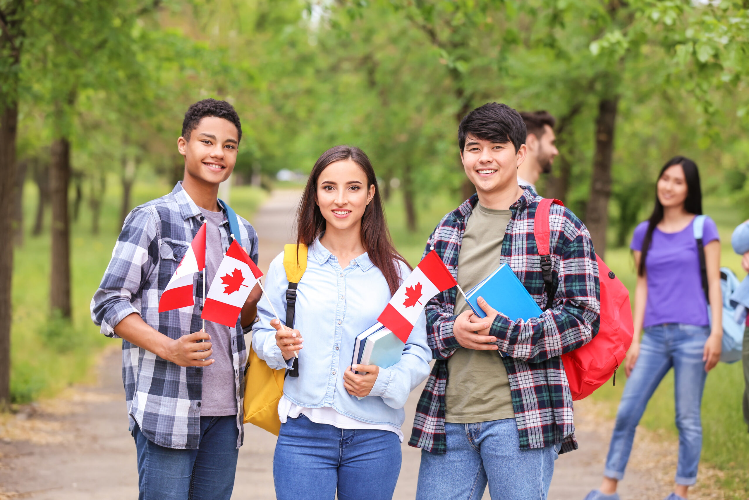 No momento, você está visualizando Canadá dará visto rápido aos estudantes brasileiros