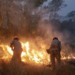 Incêndios florestais: MS decreta situação de emergência