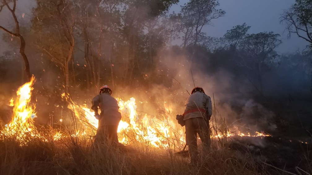 Você está visualizando atualmente Incêndios florestais: MS decreta situação de emergência