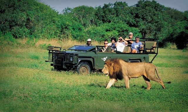 Você está visualizando atualmente Turismo na África do Sul é atingido