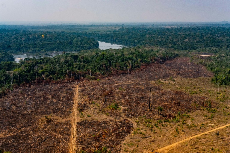 Você está visualizando atualmente Desmatamento na Amazônia bate recorde pelo 4º mês consecutivo