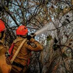 Bombeiros monitoram incêndios em MS