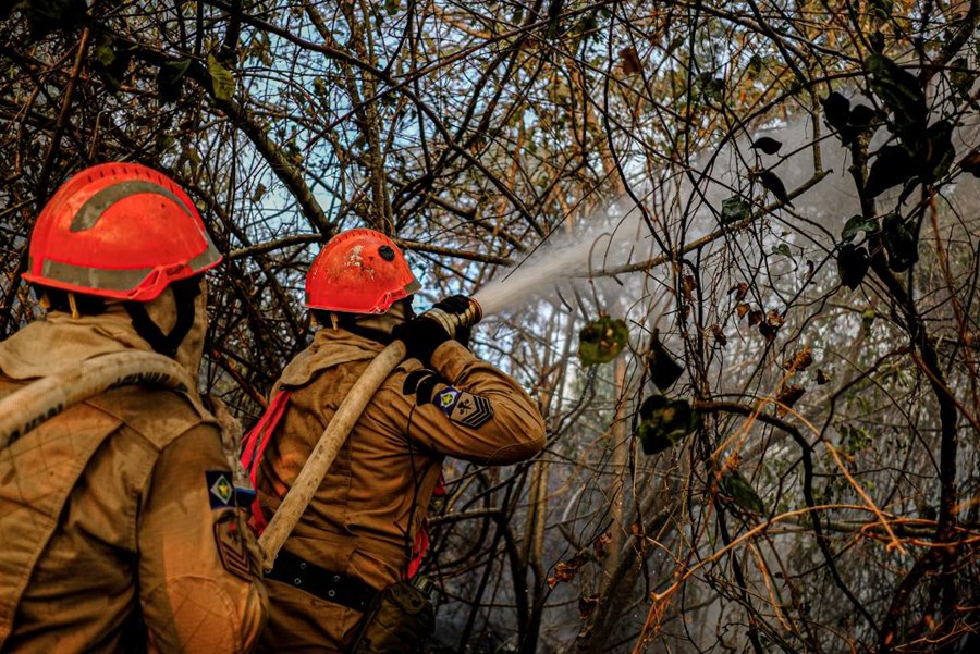 No momento, você está visualizando Bombeiros monitoram incêndios em MS