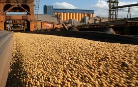 Leia mais sobre o artigo EUA: Exportações agrícolas podem atingir novo recorde