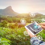 Agricultura: a tecnologia digital potencializa os resultados da lavoura