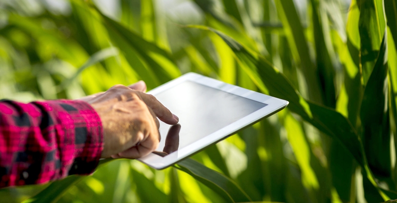 Você está visualizando atualmente TIM oferece curso gratuito de agronegócio para empresários e estudantes