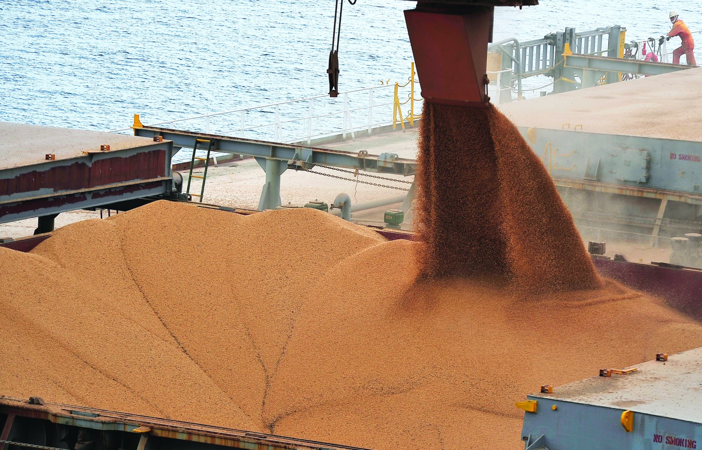 Você está visualizando atualmente Exportação de soja e carne do Brasil tem expectativa de alta em setembro