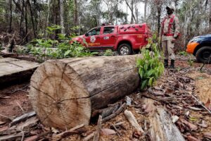 Leia mais sobre o artigo Corpo de Bombeiros deflagra operação para combater o desmatamento ilegal em MT