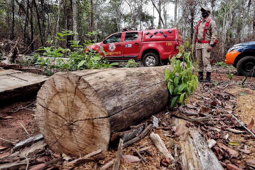 Você está visualizando atualmente Corpo de Bombeiros deflagra operação para combater o desmatamento ilegal em MT