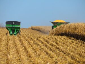 Leia mais sobre o artigo MT prevê safra recorde de milho em 2021/22 com 39,58 milhões de toneladas
