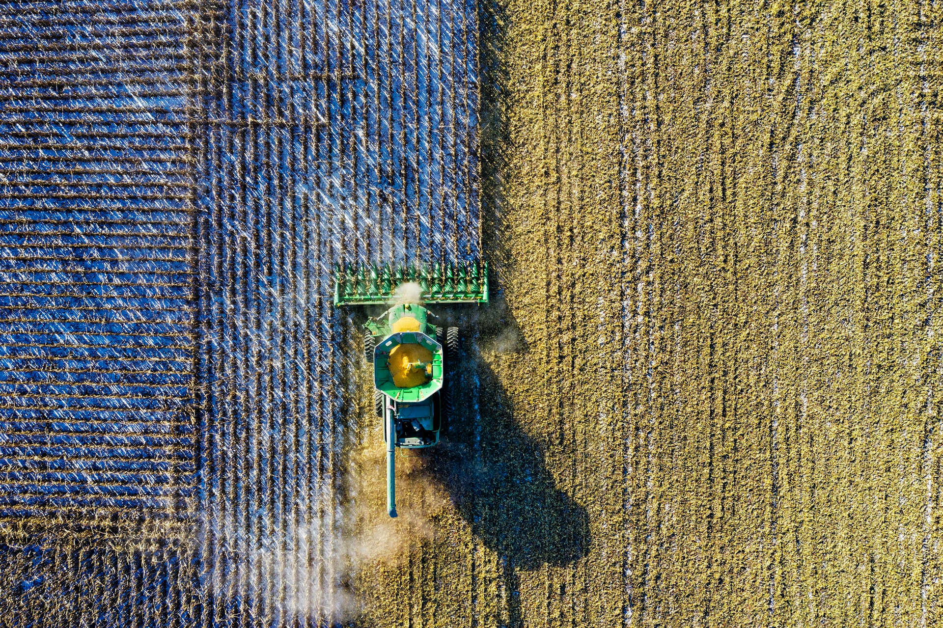 Você está visualizando atualmente Mato Grosso faz a primeira importação de milho após 4 anos