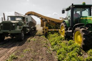 Leia mais sobre o artigo Produção agrícola em 2020 bate novo recorde e atinge R$ 470,5 bilhões