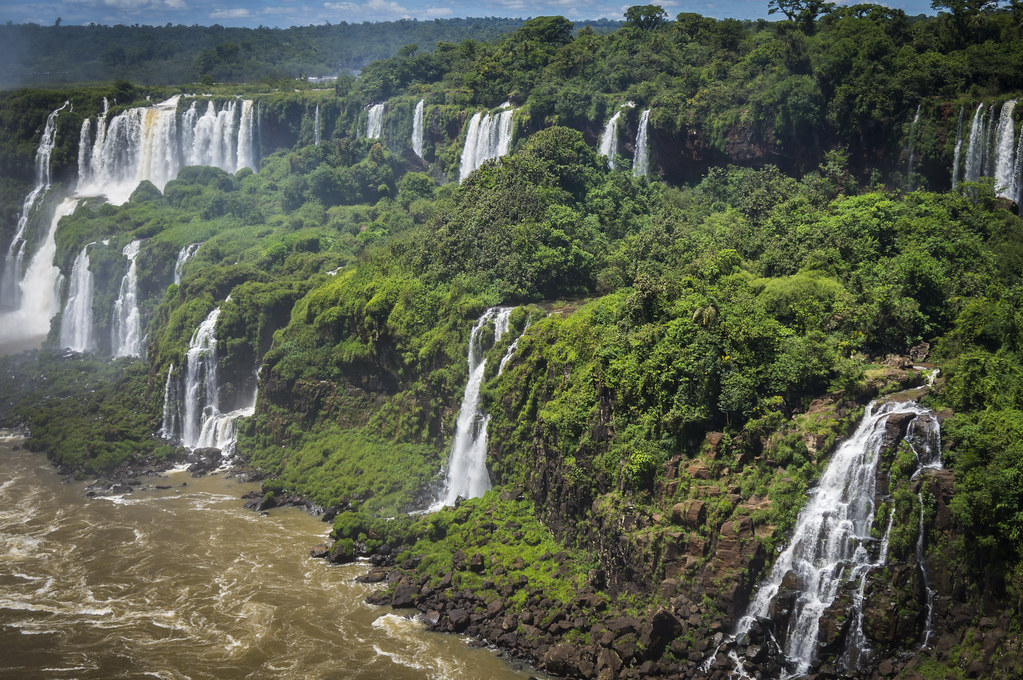 No momento, você está visualizando UNESCO: Florestas mais protegidas foram as que mais emitiram carbono