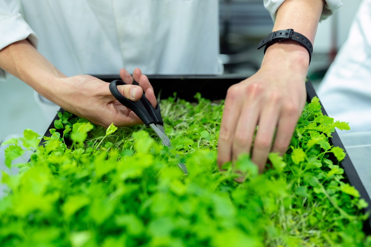 Você está visualizando atualmente Descomplicando o Agro: Nova edição do programa de mentoria