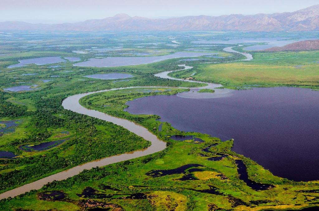 No momento, você está visualizando Dia do Pantanal: Pantanal é reconhecido pela riqueza da biodiversidade