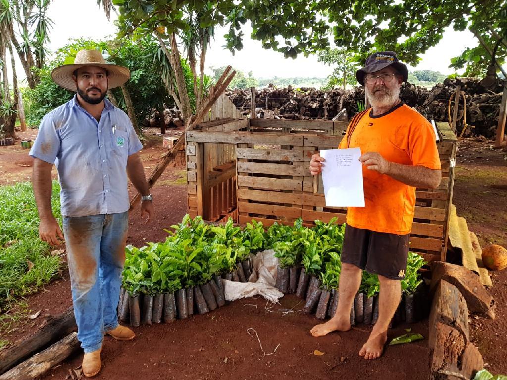 No momento, você está visualizando Distribuição de mudas de café para agricultores em Tangará da Serra