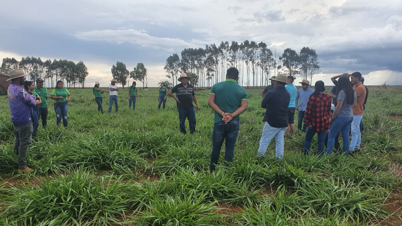 Você está visualizando atualmente Empaer-MT desenvolve atividades da agricultura familiar em terras indígenas