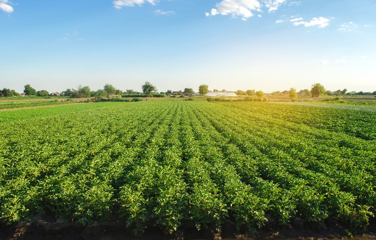 Você está visualizando atualmente Exportações do agro para outubro atingem US$ 8,84 bilhões