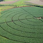 Governo quer aumentar ações de promoção do agro no exterior