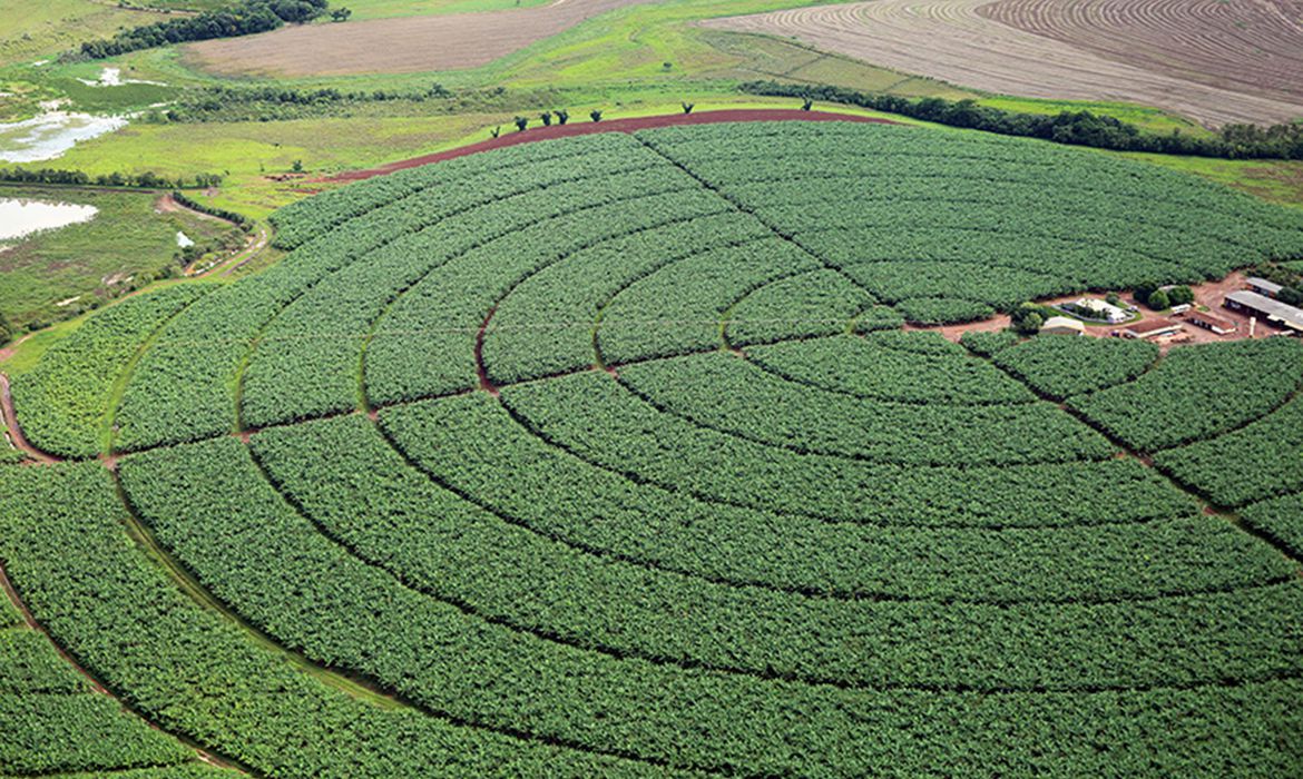 Você está visualizando atualmente Governo quer aumentar ações de promoção do agro no exterior