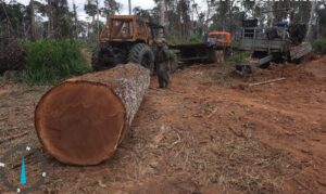 Leia mais sobre o artigo Sema-MT realiza Operação Amazônia e aplica R$ 5,1 milhões em multas