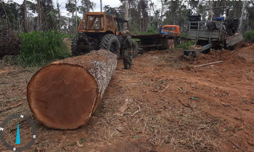 Você está visualizando atualmente Sema-MT realiza Operação Amazônia e aplica R$ 5,1 milhões em multas