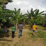 Empaer visita agricultores para falar da produção de orgânicos