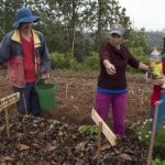 Agricultura Familiar: Mapa publica alterações em nova portaria