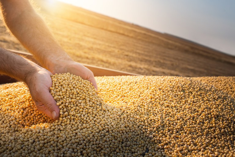 Você está visualizando atualmente Agronegócio nos municípios de MT geram mais empregos, segundo dados