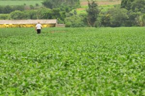 Leia mais sobre o artigo Balança comercial do agronegócio tem recorde US$ 8 bilhões