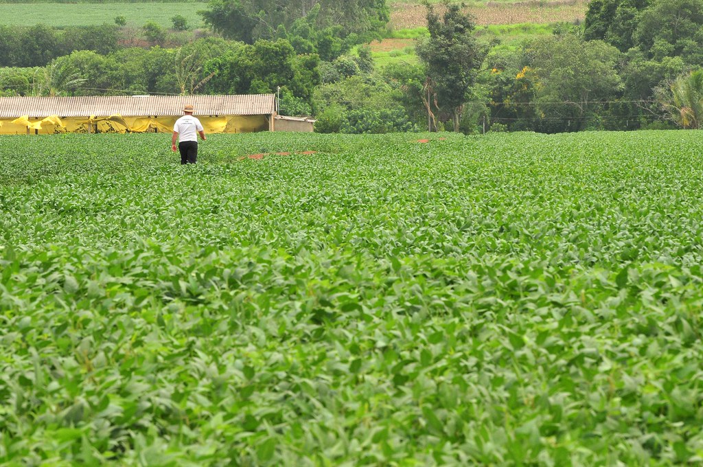 Você está visualizando atualmente Balança comercial do agronegócio tem recorde US$ 8 bilhões