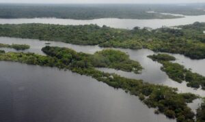Leia mais sobre o artigo BNDES e Incra vão implantar projeto sobre assentamentos na Amazônia