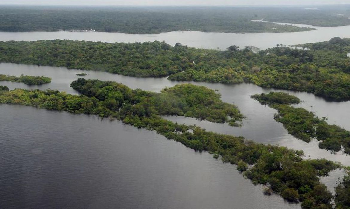 No momento, você está visualizando BNDES e Incra vão implantar projeto sobre assentamentos na Amazônia