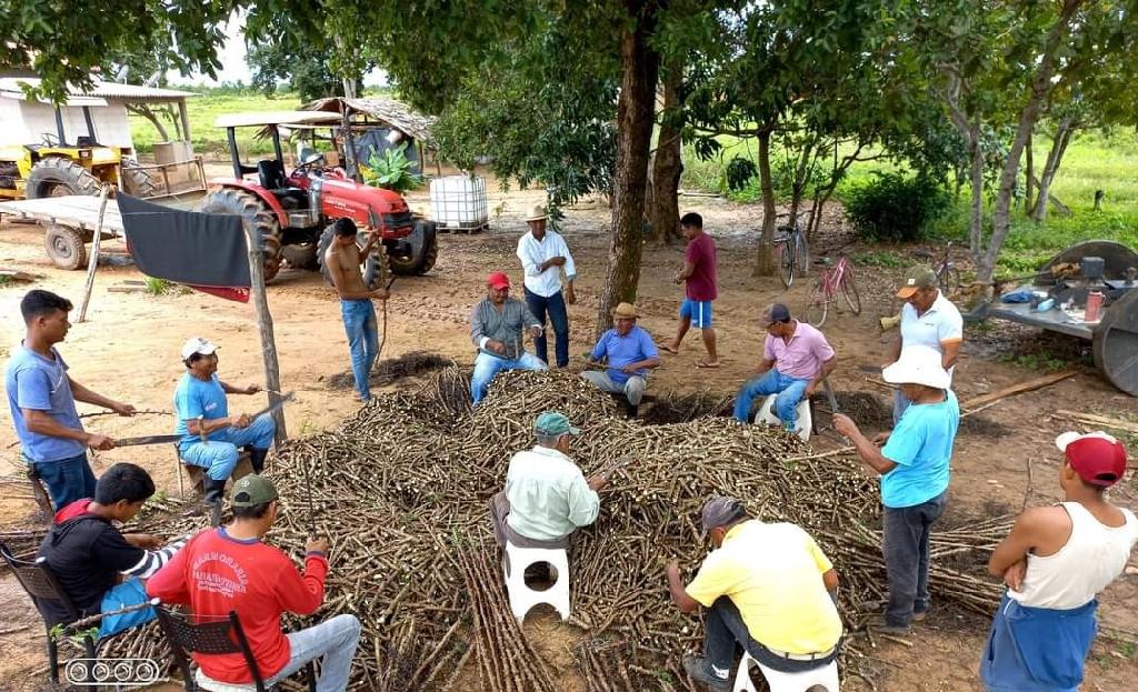 Você está visualizando atualmente Paranatinga: Empaer realiza projeto em aldeia indígena Pakuera