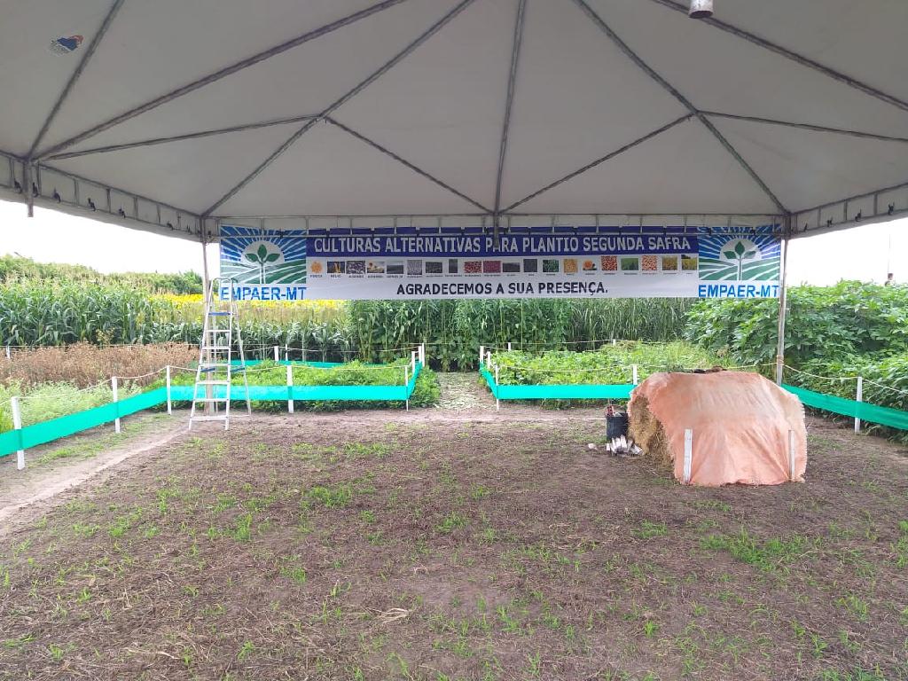 No momento, você está visualizando Empaer-MT participa de feira de negócio e tecnologia agrícola em Canarana