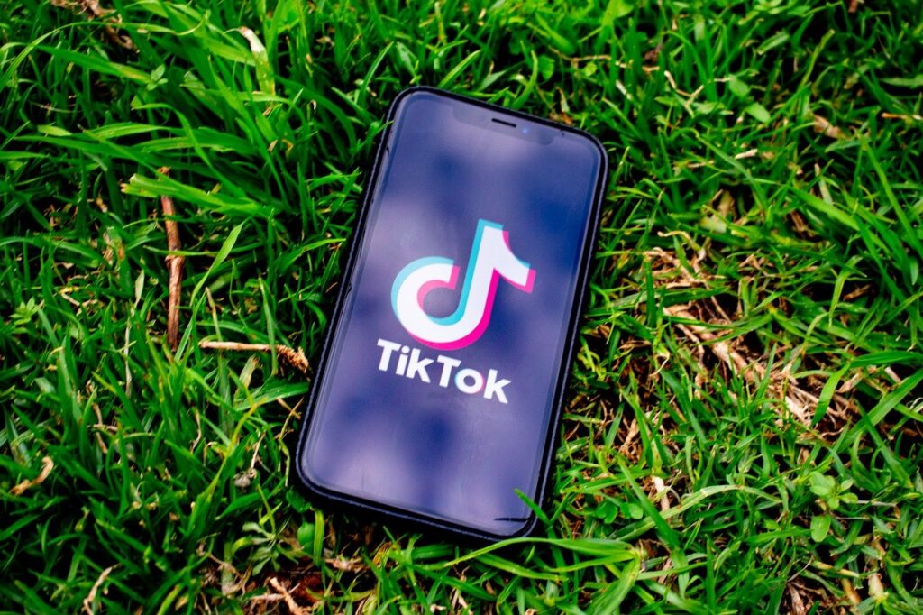 chefe-de-marketing-tiktok-demitdo