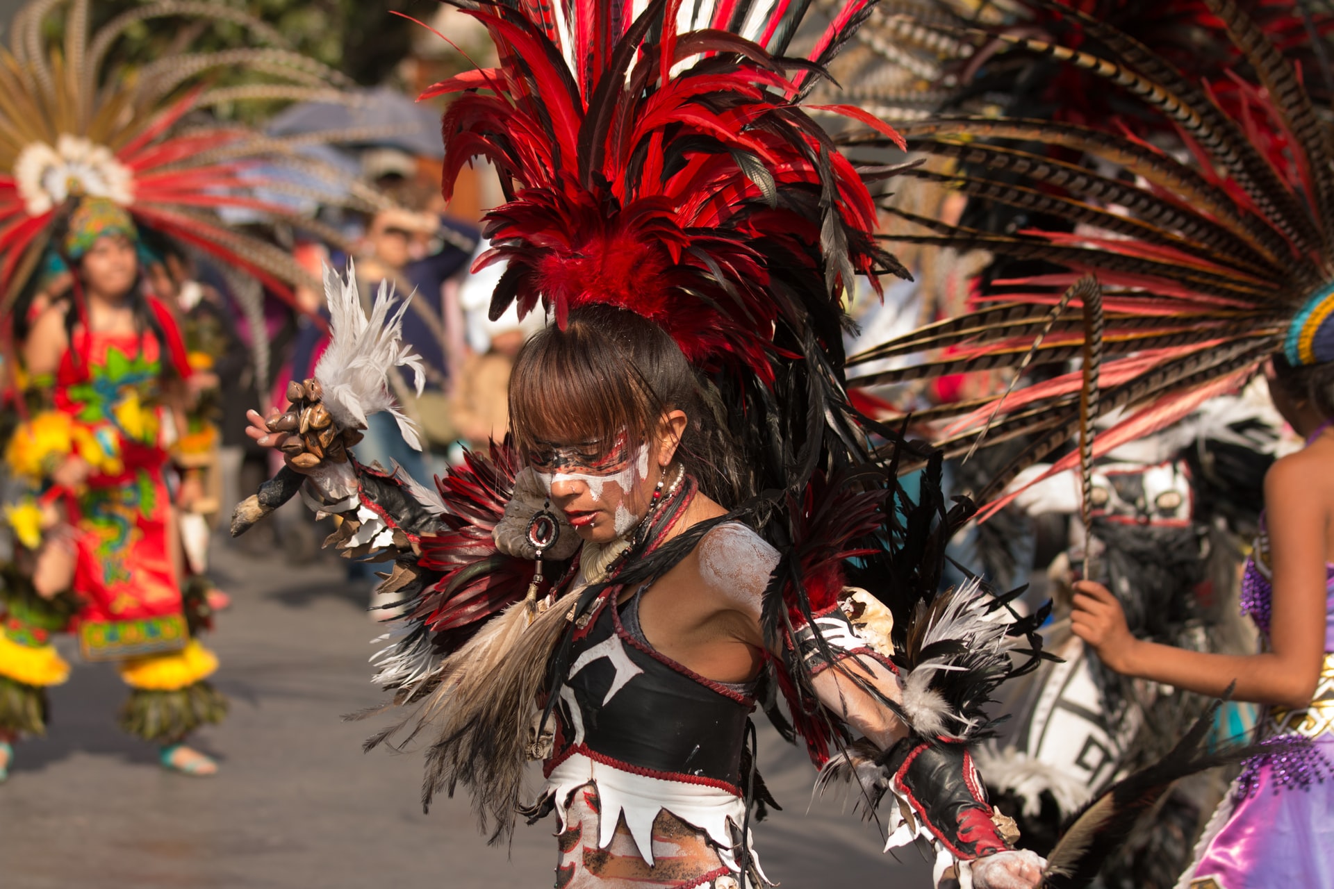 Você está visualizando atualmente CARNAVAL NO TIKTOK: plataforma faz ações durante o feriado com shows e websérie