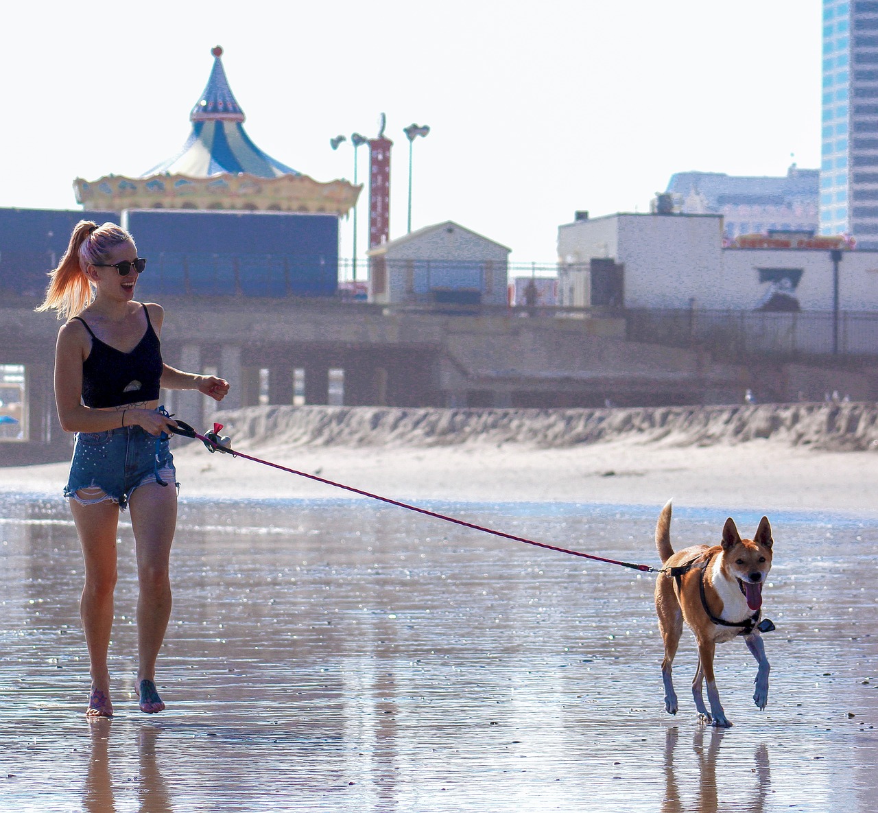 DICAS DE PET: Como cuidar do seu bichinho durante o verão