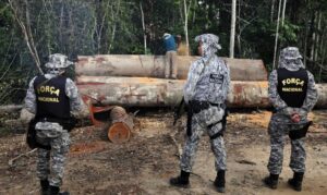 Leia mais sobre o artigo Força Nacional garantirá segurança em áreas indígenas de Mato Grosso