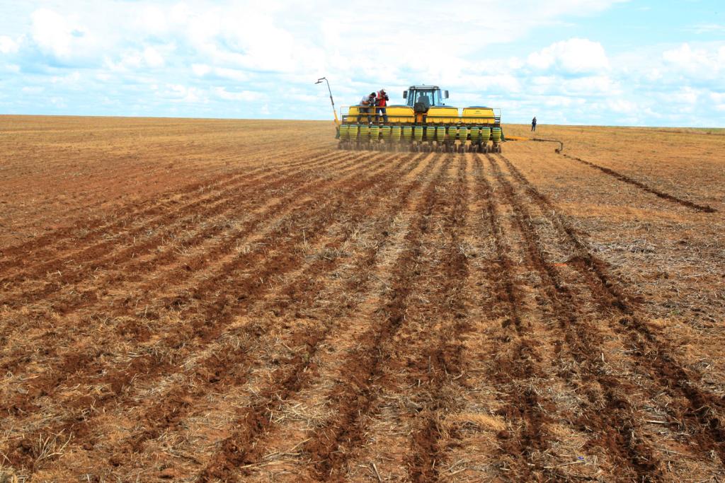 No momento, você está visualizando Vazio sanitário da soja é ampliado para 21 estados neste ano