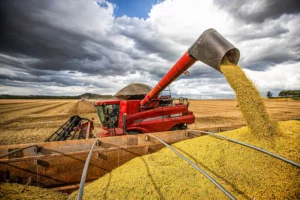 Leia mais sobre o artigo Brasil já passa de 69% da área de soja colhida