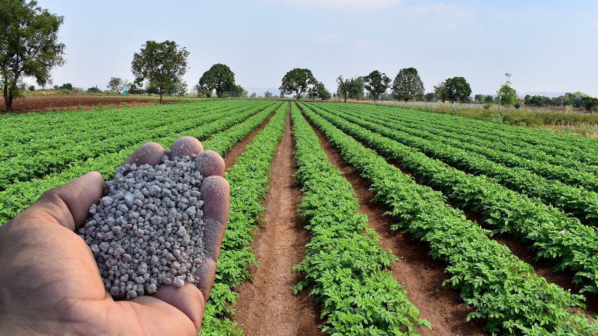 Você está visualizando atualmente China proíbe as exportações de fertilizantes, entenda seus impactos