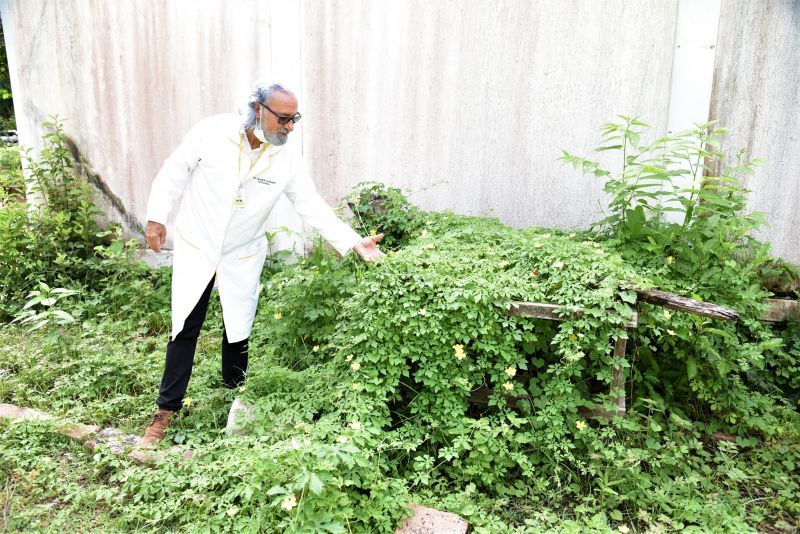 No momento, você está visualizando PROGRAMA FITOVIVA: Pacientes relatam benefícios de tratamento com plantas medicinais