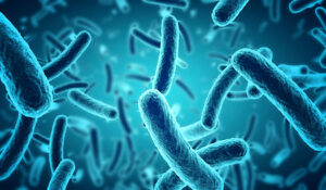 Leia mais sobre o artigo Estudo observa bactérias que podem disseminar câncer no organismo