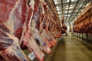 Leia mais sobre o artigo Exportações de carne alcançam o 3º maior resultado da série histórica de Mato Grosso