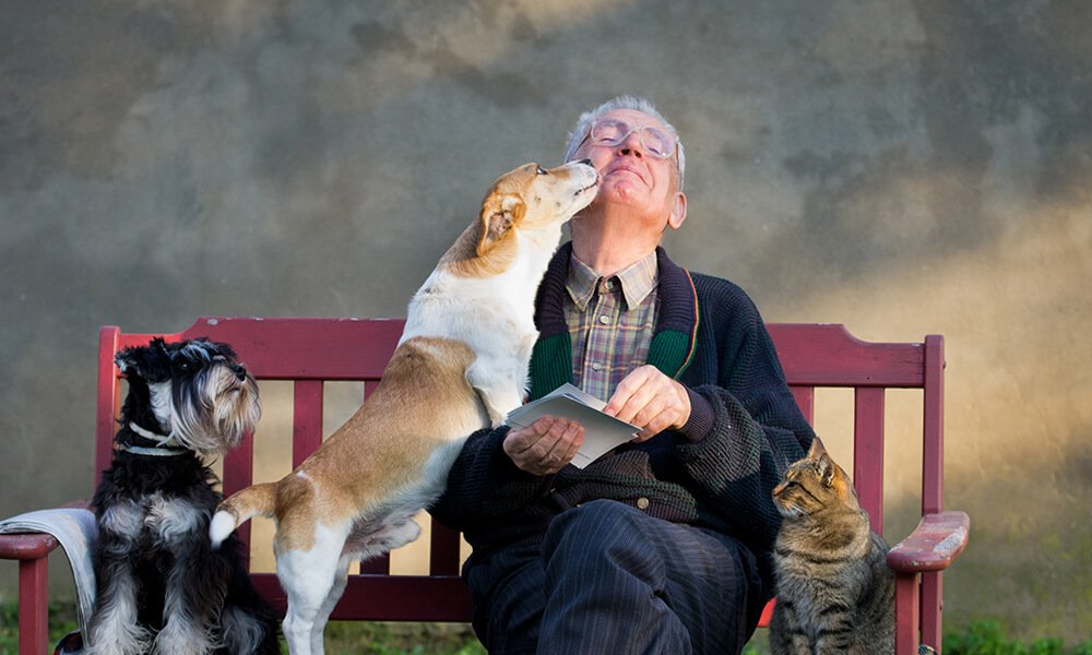 No momento, você está visualizando Mutações em animais ajudam a entender o envelhecimento humano