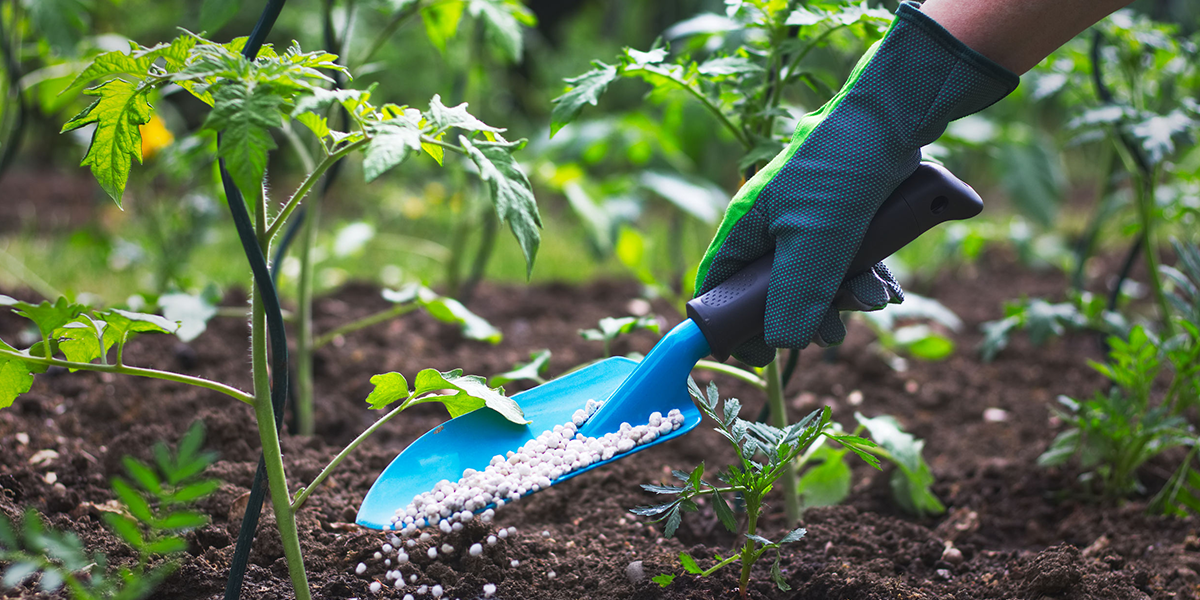 No momento, você está visualizando Preço para importar fertilizantes sobe 126% em abril