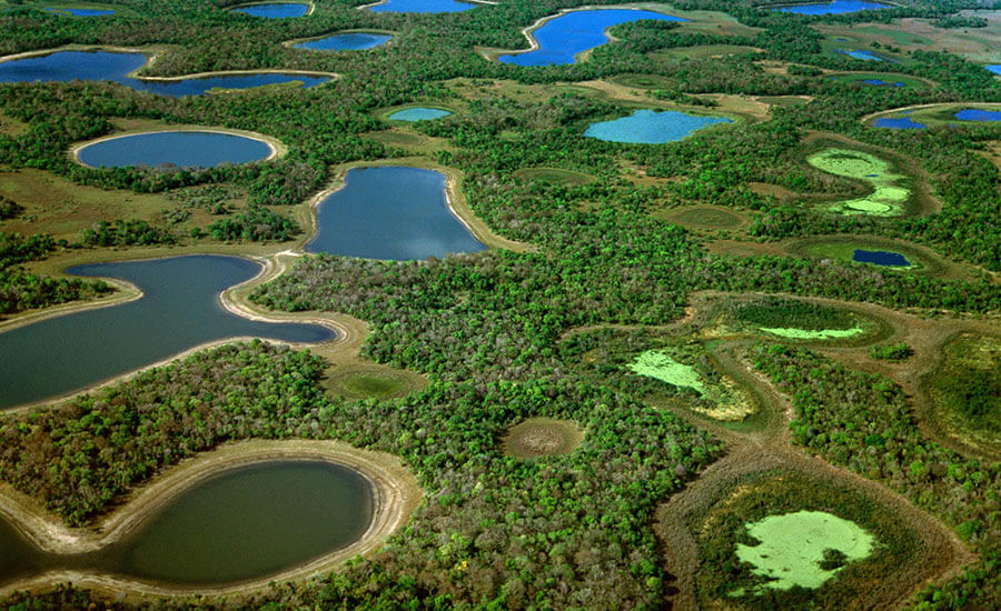 Você está visualizando atualmente Sema abre inscrições para o selo “Iniciativa amiga da RBP” no Pantanal