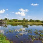 Empaer promove encontro do turismo rural na Fit Pantanal 2022